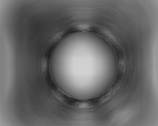 X0000112840412200908281556