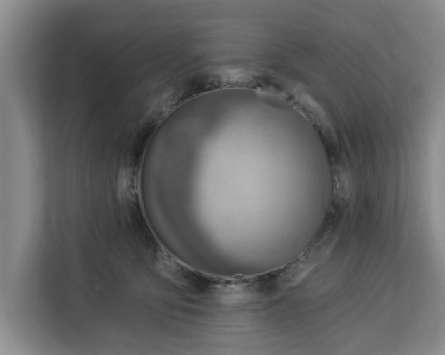 X0000112840419200908281555