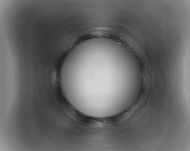 X0000112840420200908281555