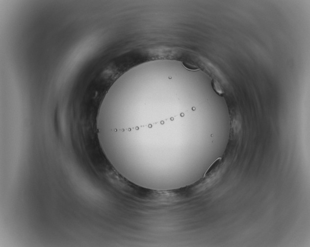 X0000112840429200908281555