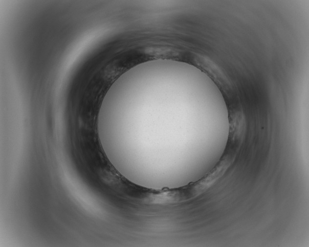 X0000112840430200908281555