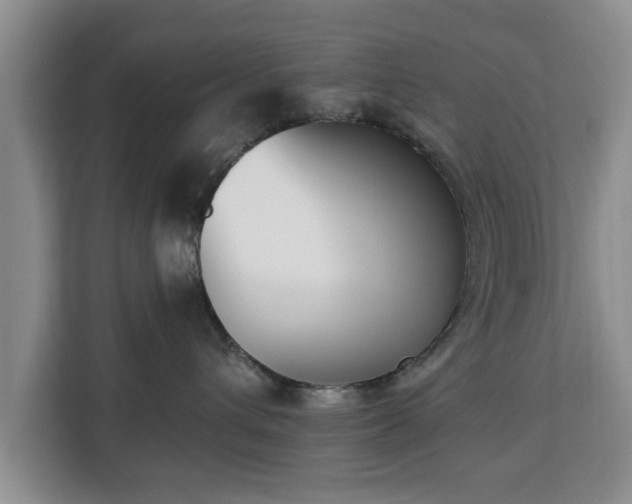 X0000112840432200908281555