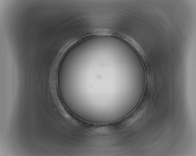 X0000112840433200908281555