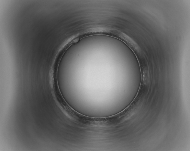 X0000112840436200908281555