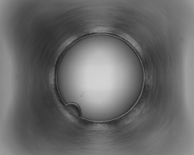 X0000112840437200908281555