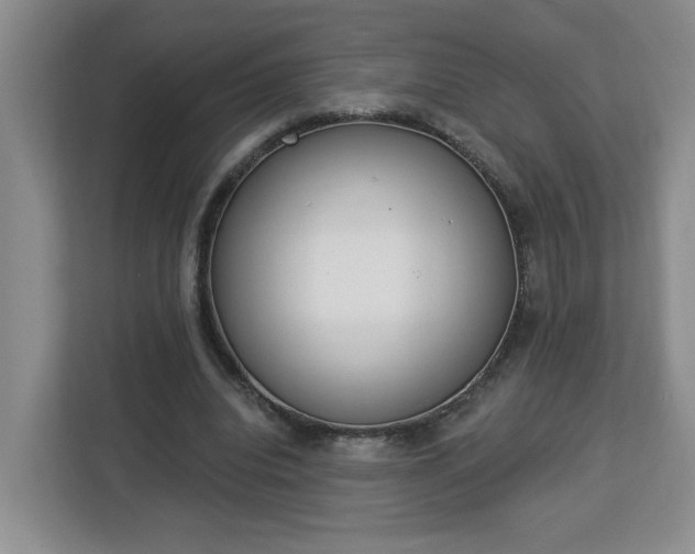 X0000112840440200908281555