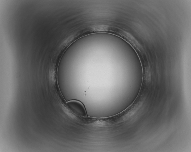 X0000112840441200908281555