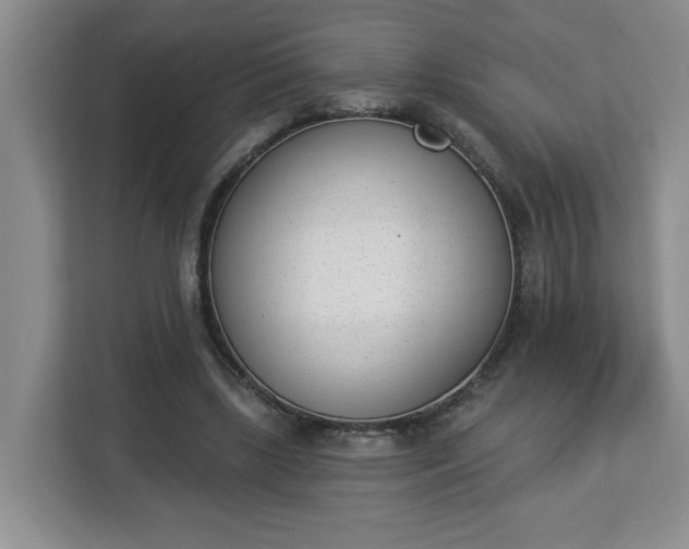 X0000112840443200908281555