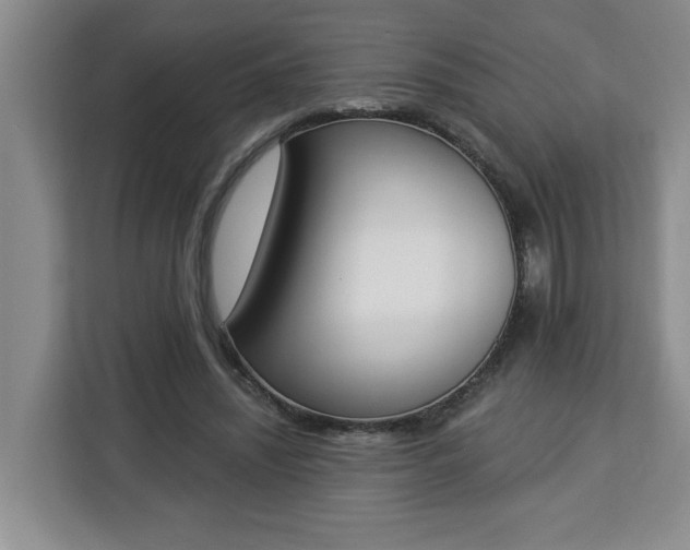 X0000112840444200908281555