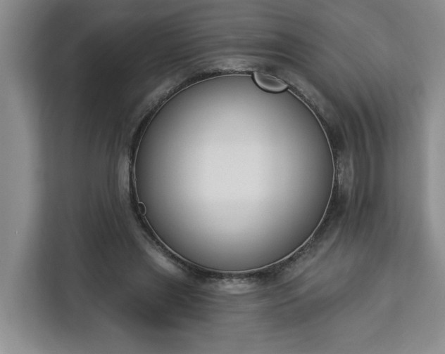 X0000112840445200908281555