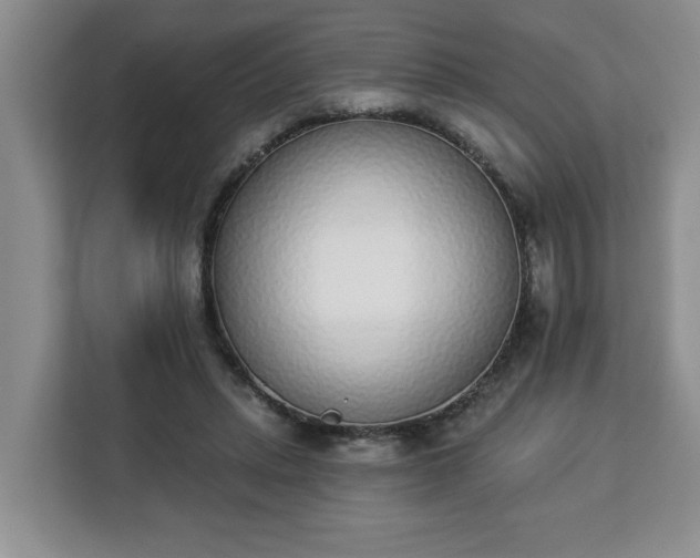 X0000112840447200908281555