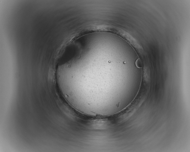 X0000112840449200908281555