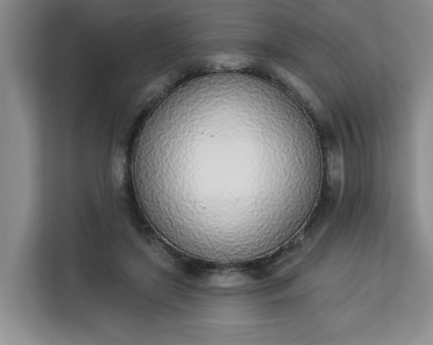 X0000112840451200908281555