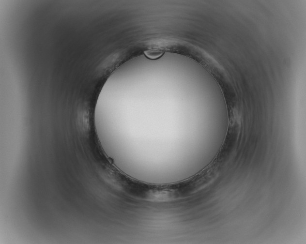 X0000112840452200908281555