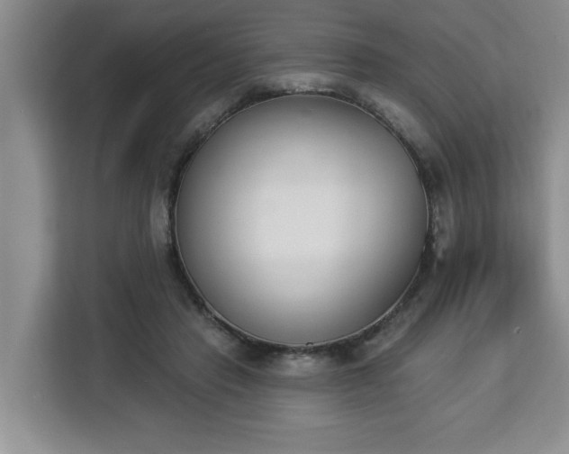 X0000112840453200908281555