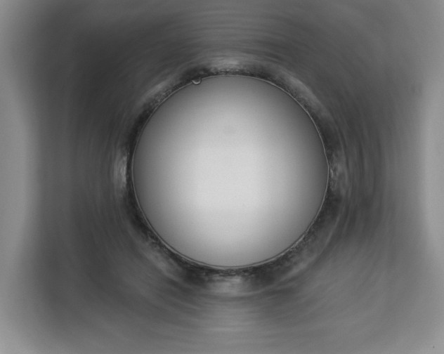 X0000112840454200908281555