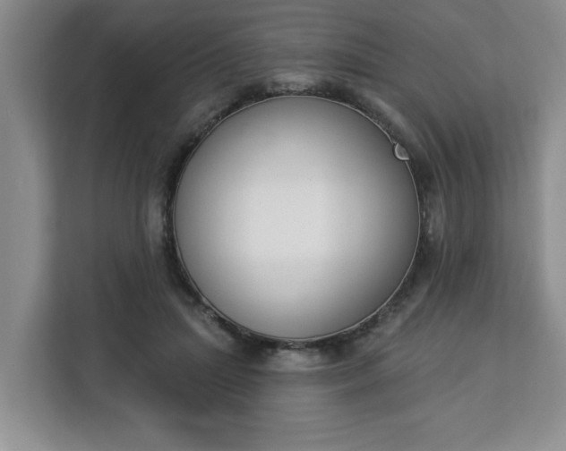 X0000112840455200908281555