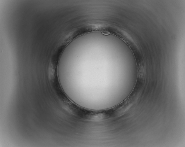 X0000112840456200908281555