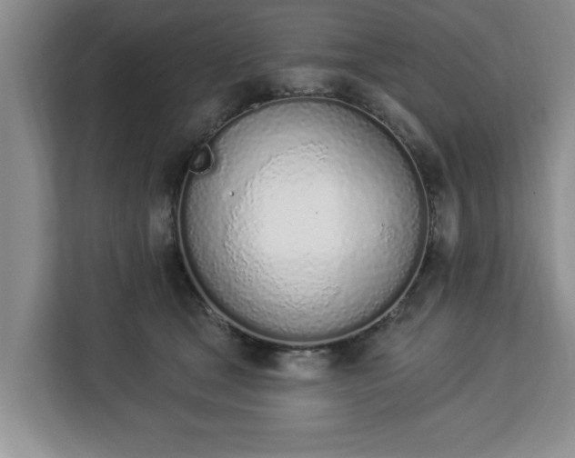 X0000112840465200908281555