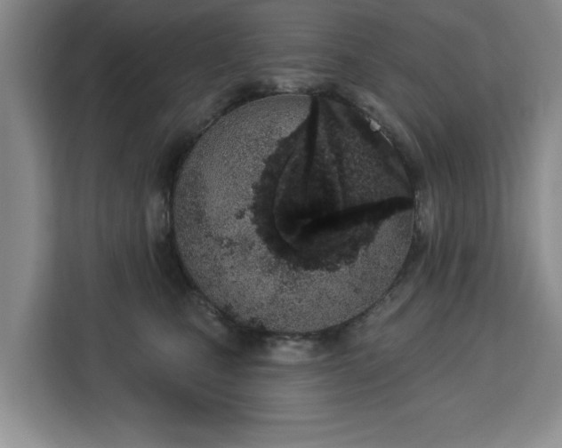 X0000112840471200908281555