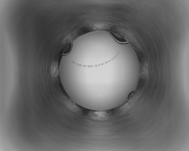 X0000112840478200908281555