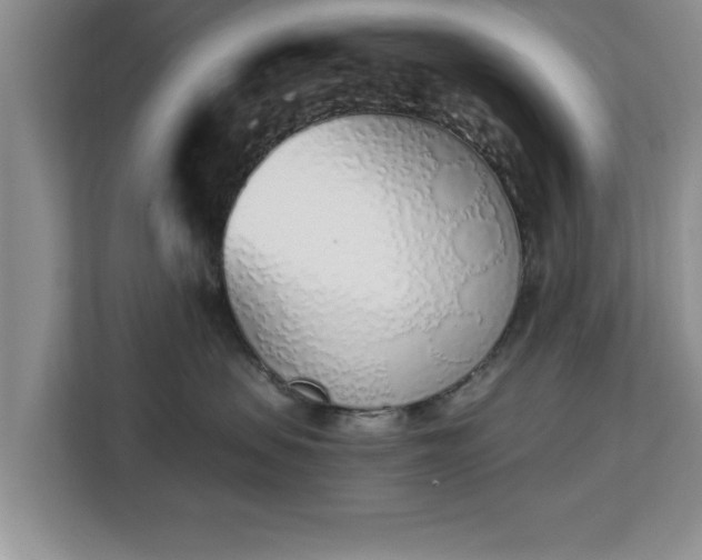 X0000112840479200908281555