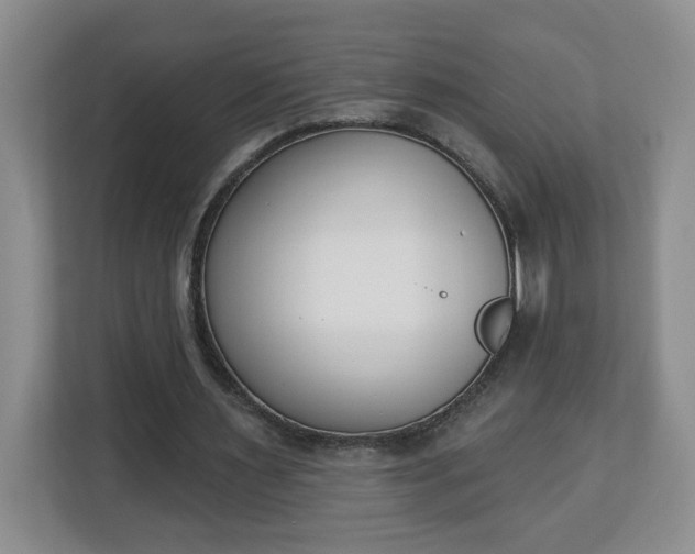 X0000112840483200908281555