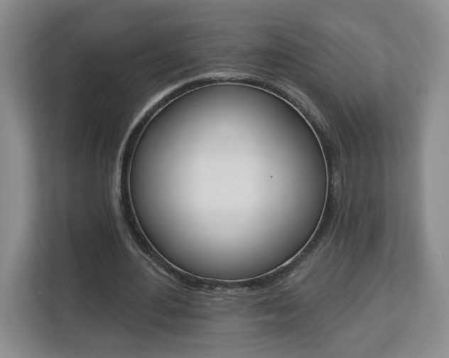 X0000112840484200908281555