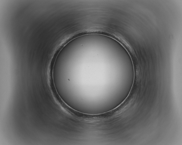 X0000112840485200908281555