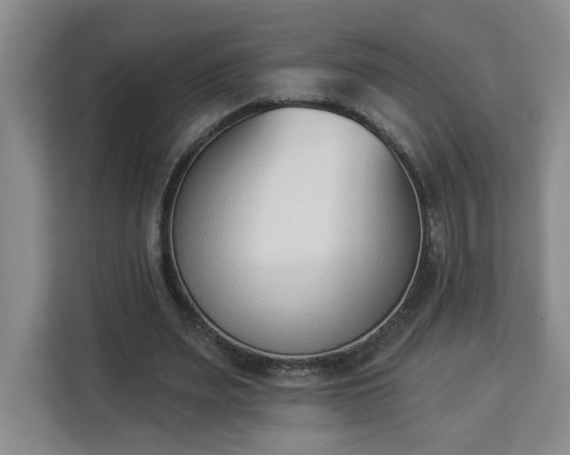 X0000112840487200908281555