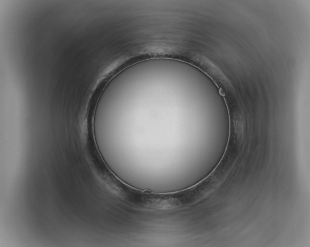 X0000112840488200908281555