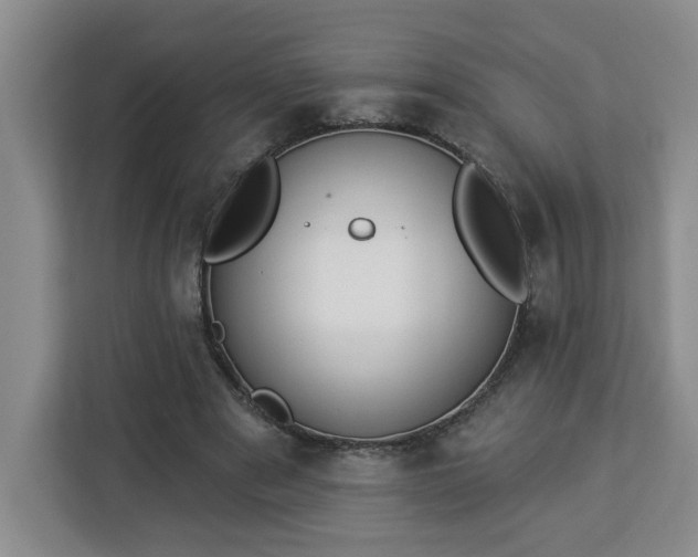 X0000112840489200908281555