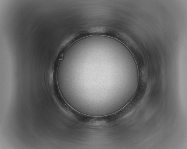 X0000112840491200908281554