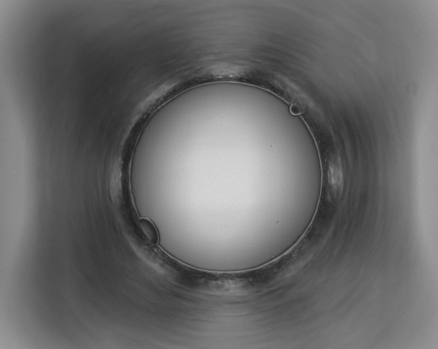 X0000112840492200908281554