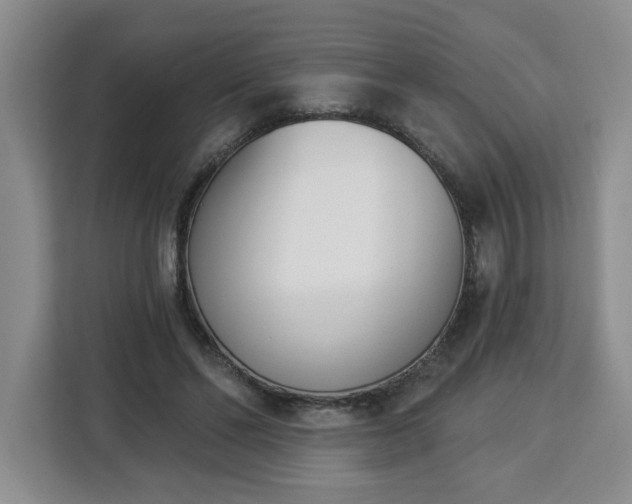 X0000112840494200908281554