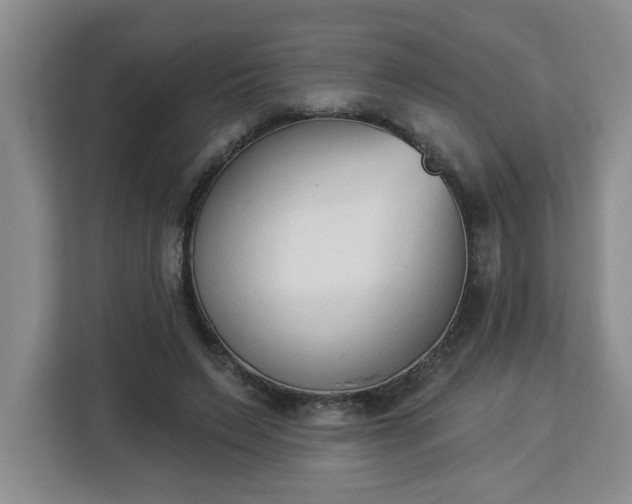 X0000112840495200908281554