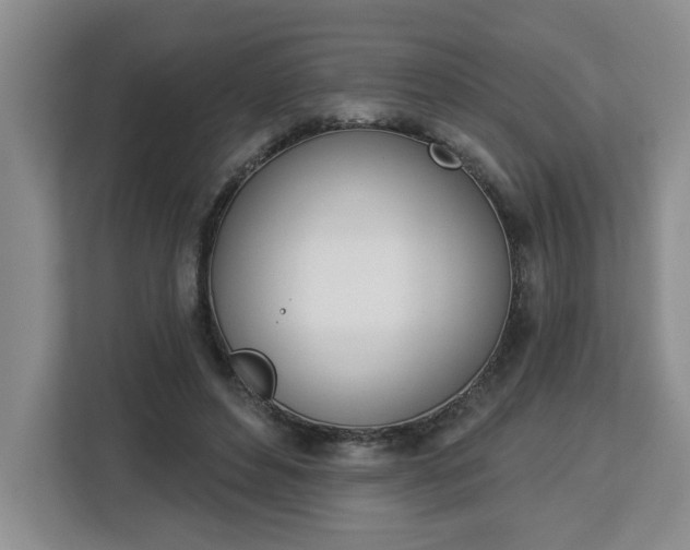 X0000112840496200908281554