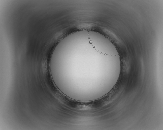 X0000112840498200908281554