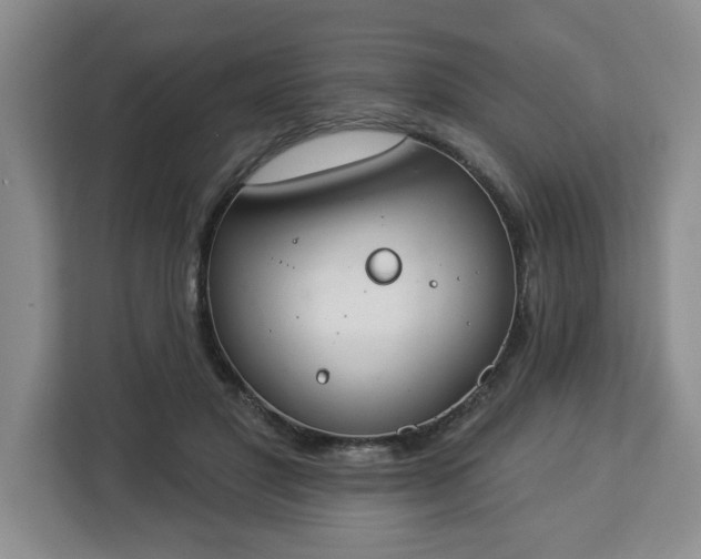 X0000112840501200908281554