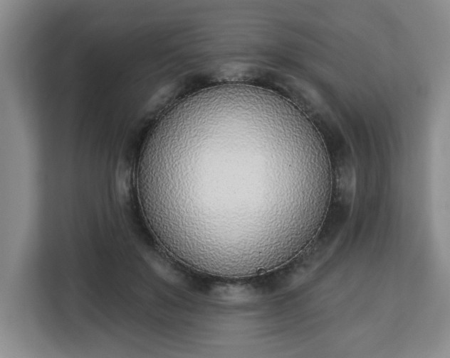 X0000112840503200908281554