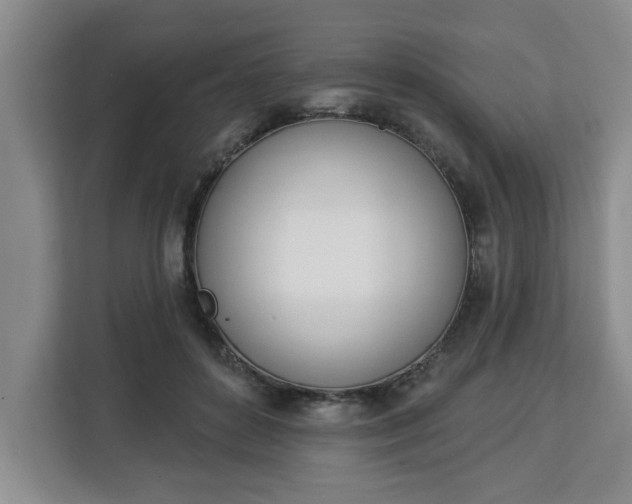 X0000112840504200908281554