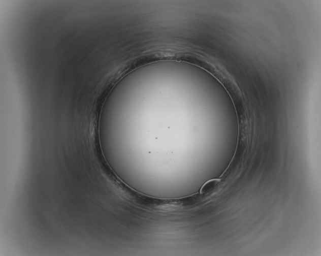 X0000112840505200908281554