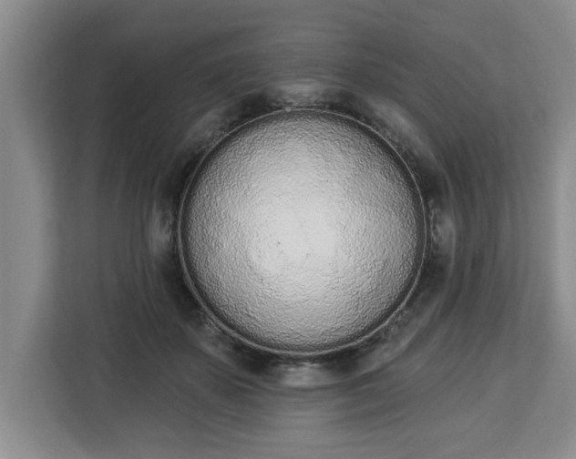 X0000112840507200908281554