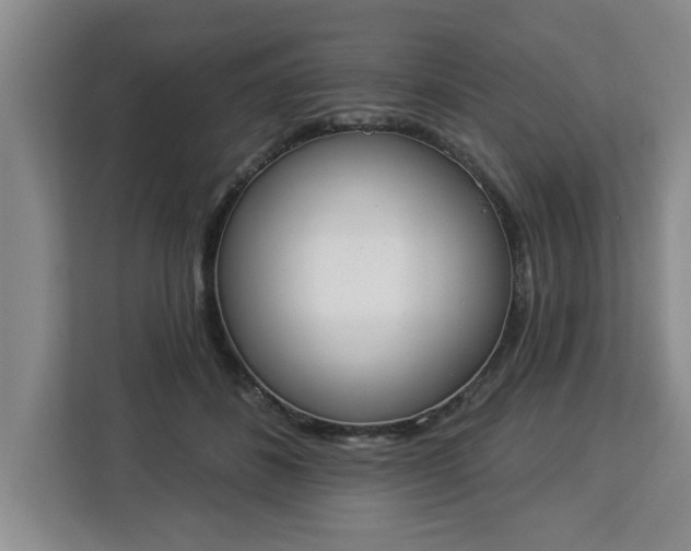 X0000112840508200908281554