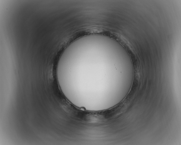 X0000112840512200908281554