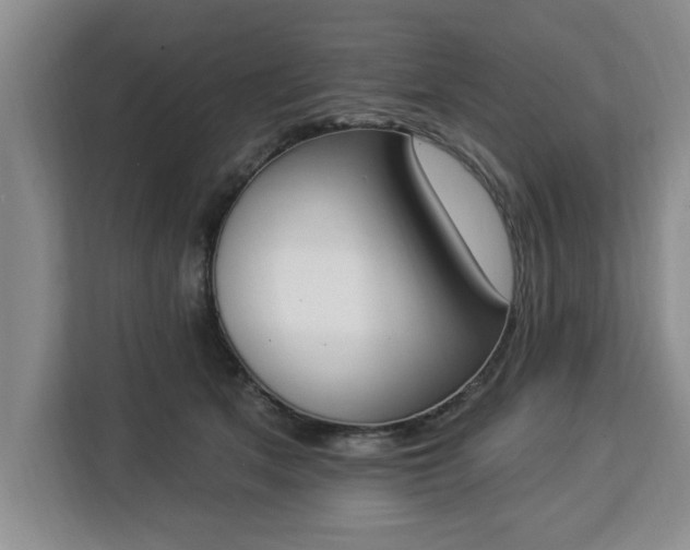 X0000112840513200908281554