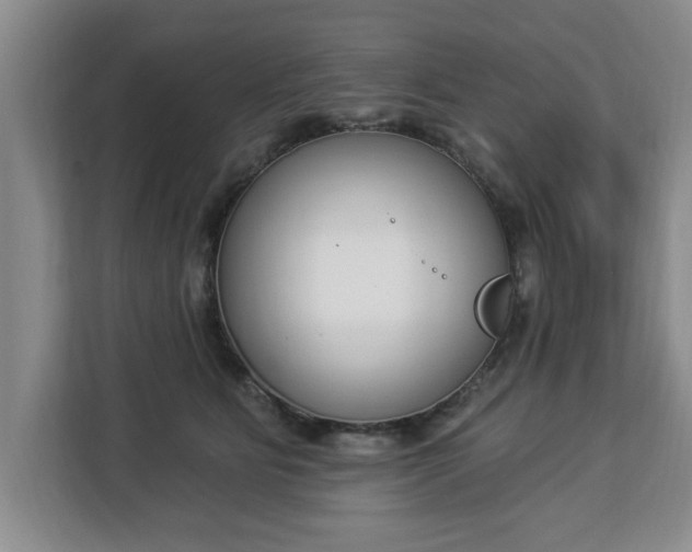 X0000112840515200908281554