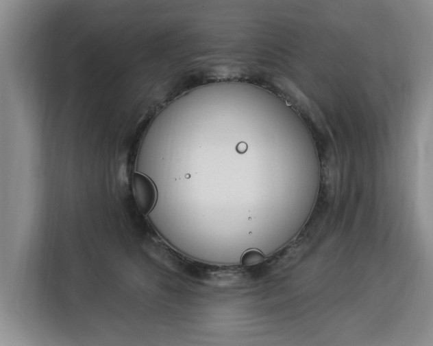 X0000112840516200908281554