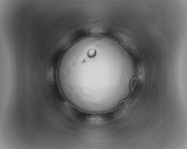 X0000112840519200908281554