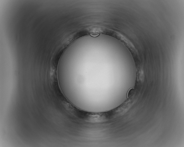 X0000112840521200908281554